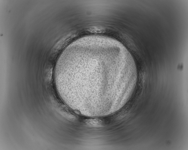 X0000114990652200911161515