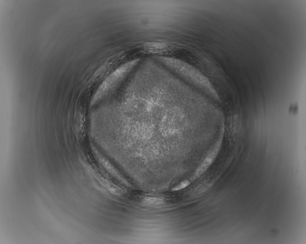 X0000114990653200911161515