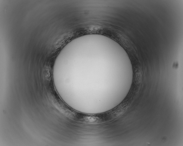 X0000114990654200911161515