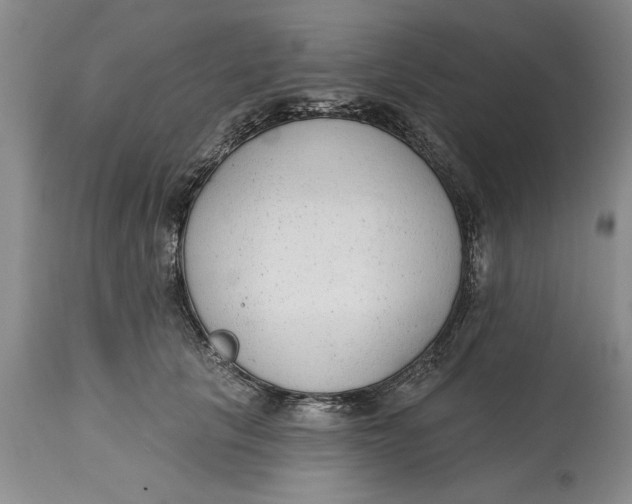 X0000114990657200911161515