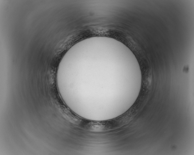 X0000114990658200911161515