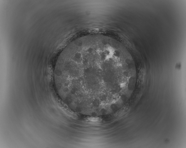 X0000114990659200911161515