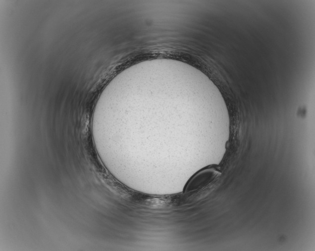 X0000114990660200911161515