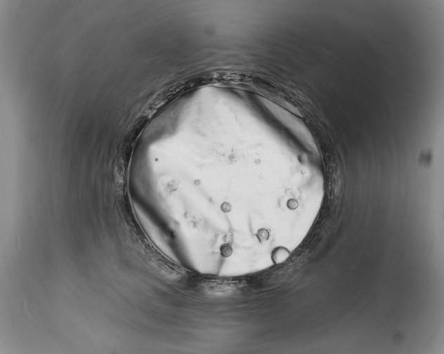 X0000114990661200911161515