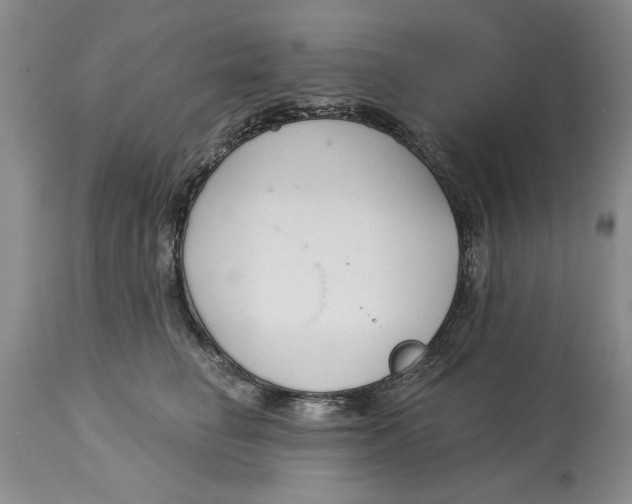 X0000114990662200911161515