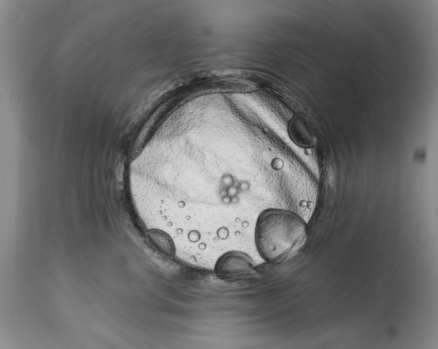 X0000114990668200911161515