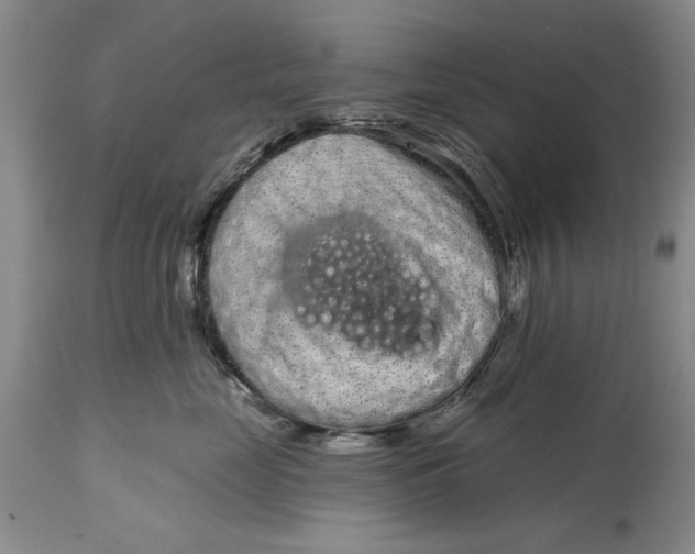 X0000114990669200911161515