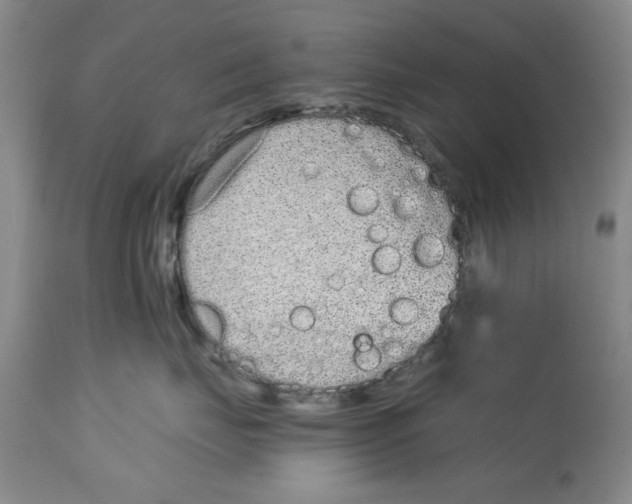 X0000114990671200911161515