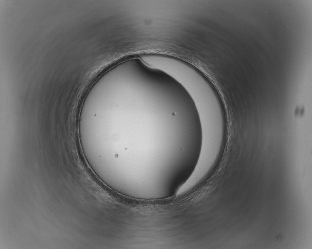 X0000114990673200911161514