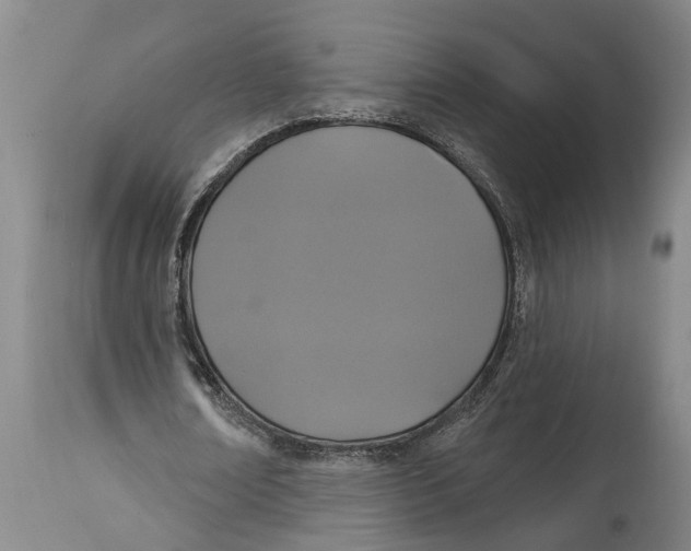 X0000114990674200911161514