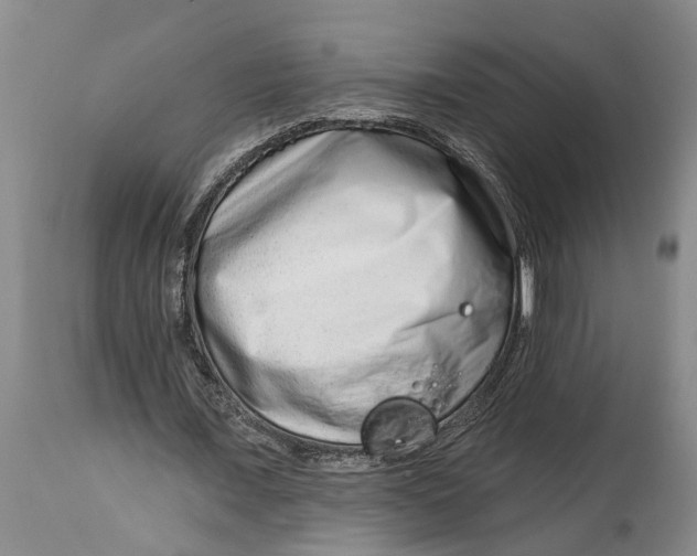 X0000114990675200911161514