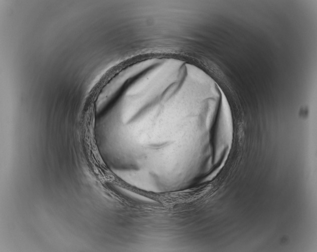 X0000114990676200911161514