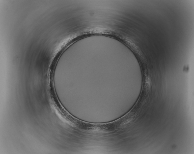 X0000114990678200911161514