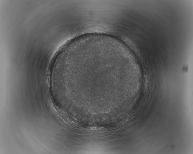 X0000114990680200911161514