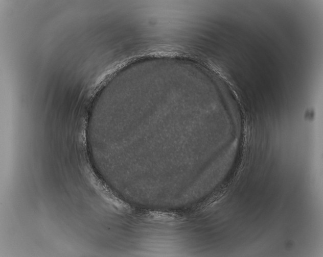 X0000114990681200911161514