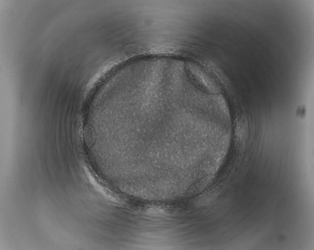 X0000114990684200911161514