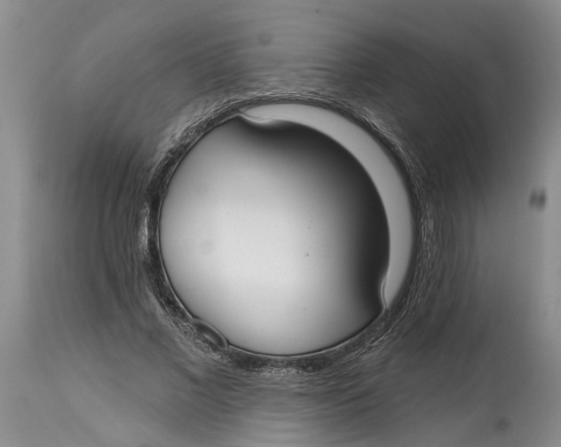 X0000114990685200911161514