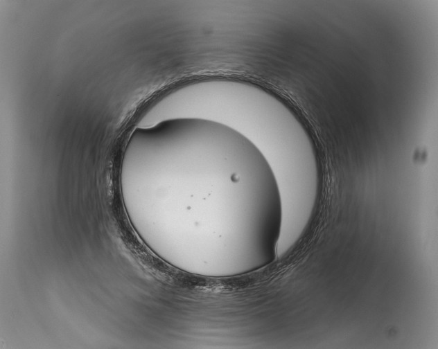 X0000114990688200911161514