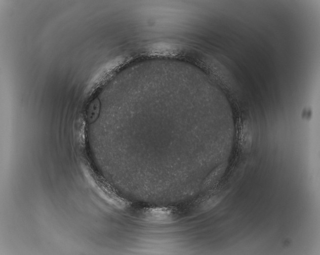 X0000114990692200911161514