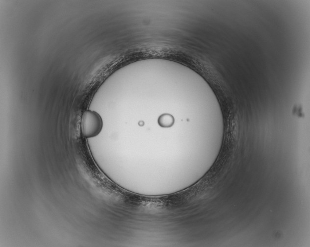 X0000114990694200911161514