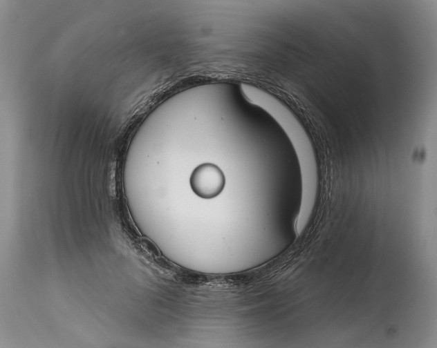 X0000114990696200911161514