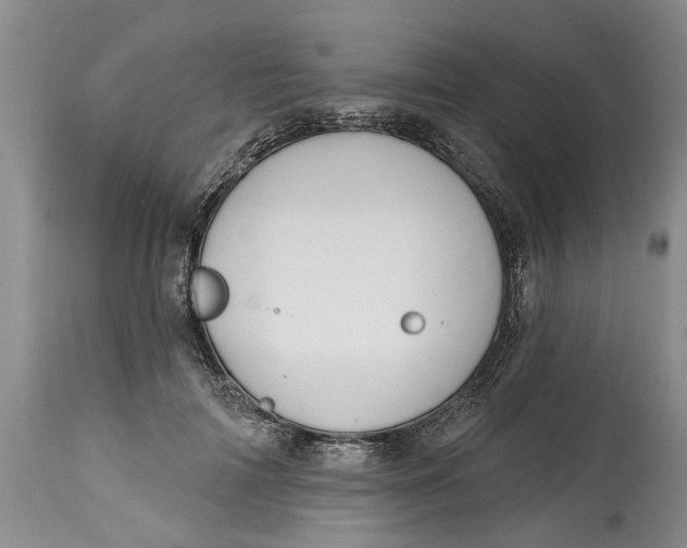 X0000114990698200911161514