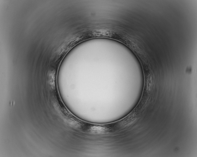 X0000114990699200911161514