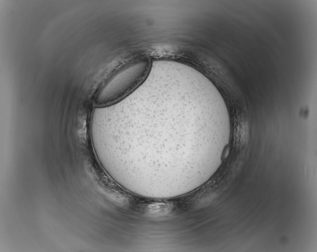 X0000114990700200911161514