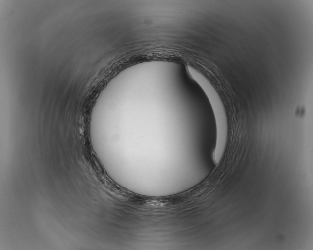 X0000114990701200911161514