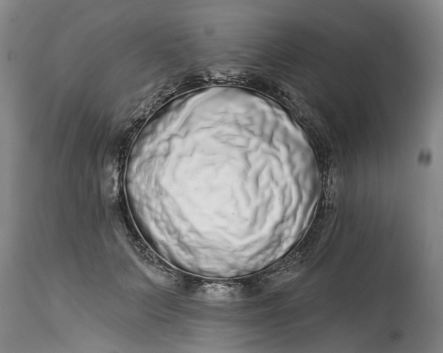 X0000114990703200911161514