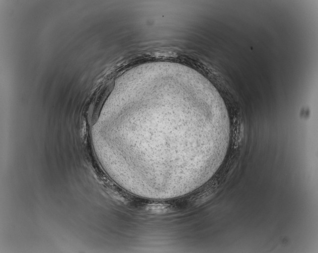 X0000114990704200911161514