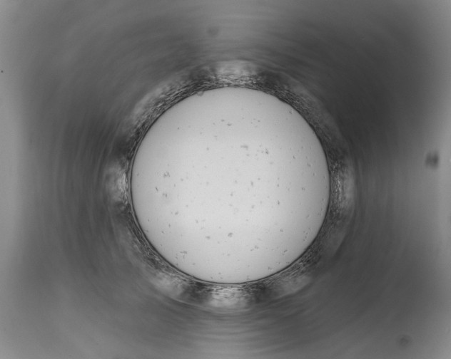 X0000114990705200911161514