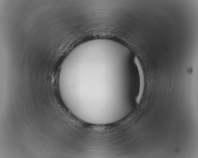 X0000114990709200911161514