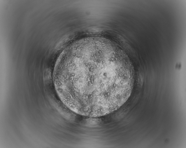 X0000114990711200911161513