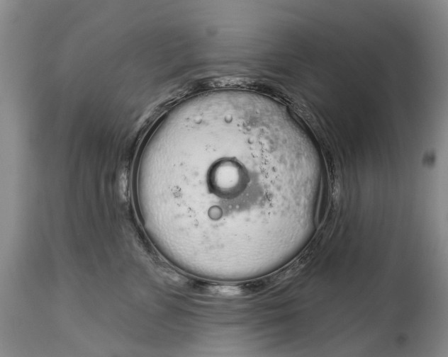 X0000114990715200911161513