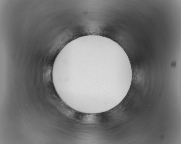 X0000114990717200911161513