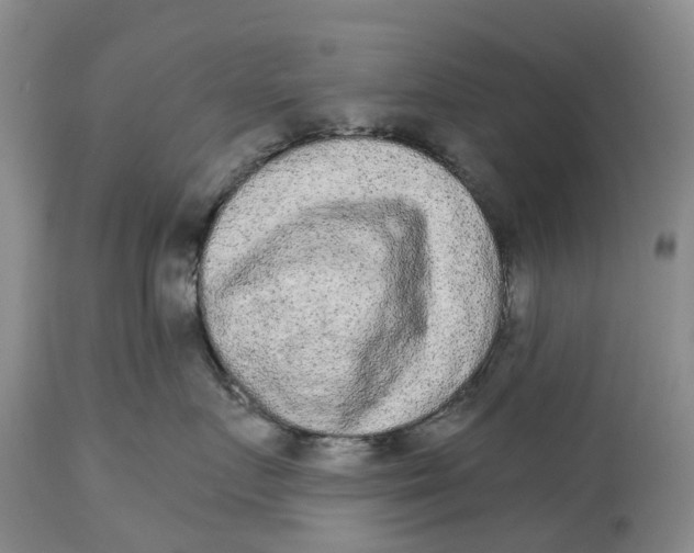 X0000114990719200911161513