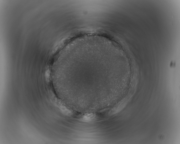 X0000114990720200911161513