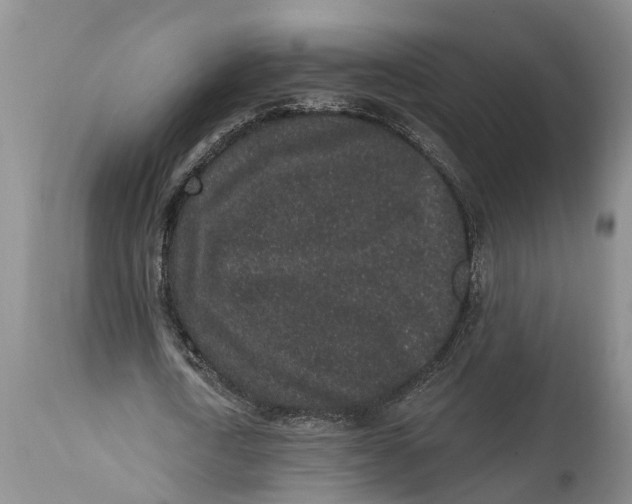 X0000114990722200911161513