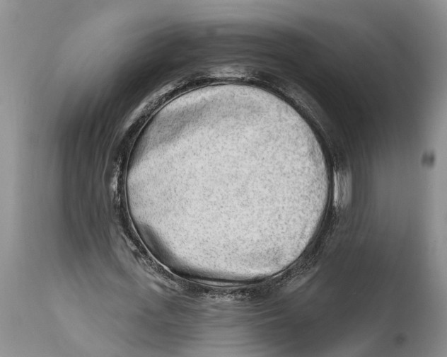 X0000114990723200911161513