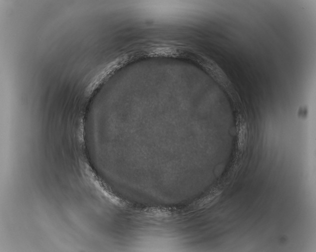 X0000114990729200911161513