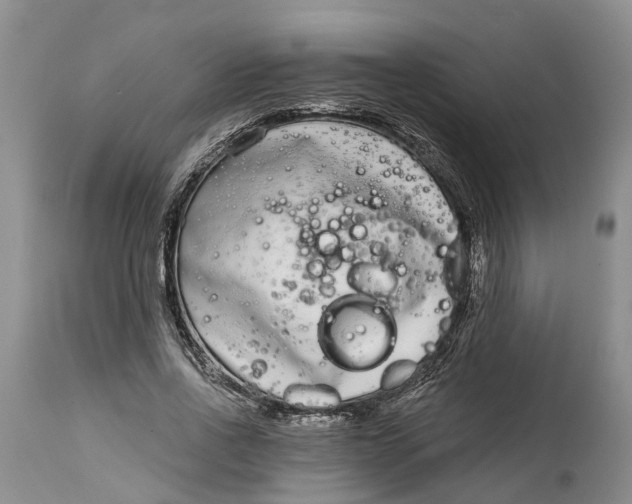 X0000114990734200911161513