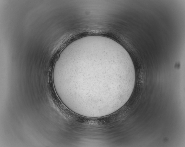 X0000114990738200911161513