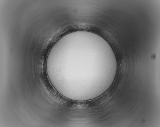 X0000114990739200911161513