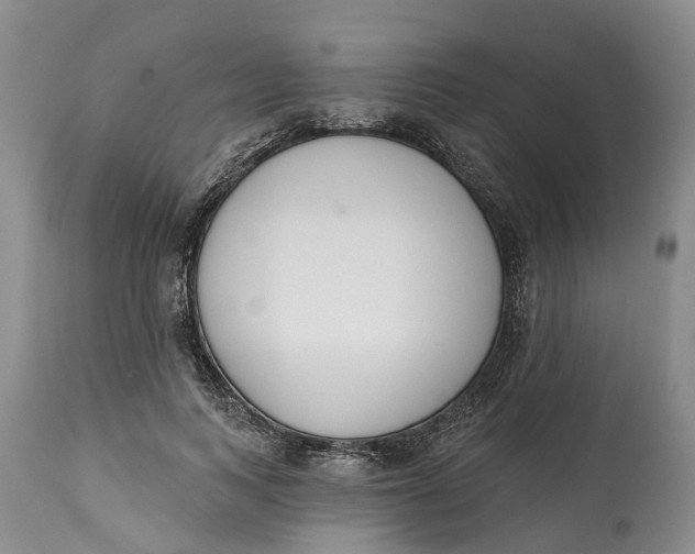 X0000114990743200911161513