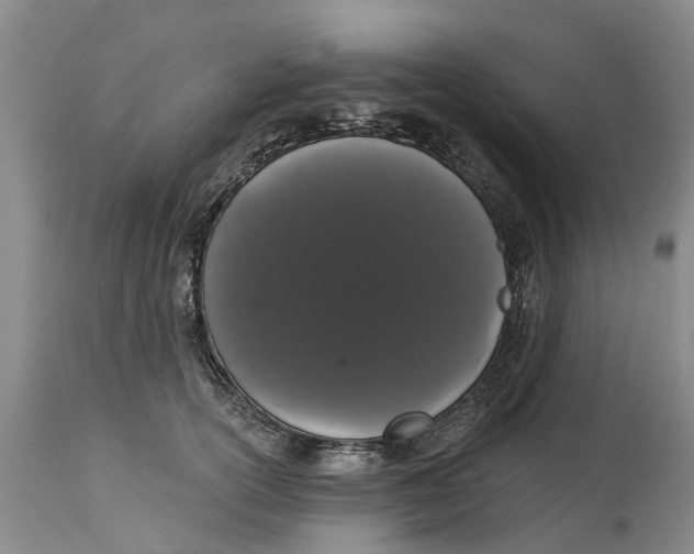 X0000114990754200911161513