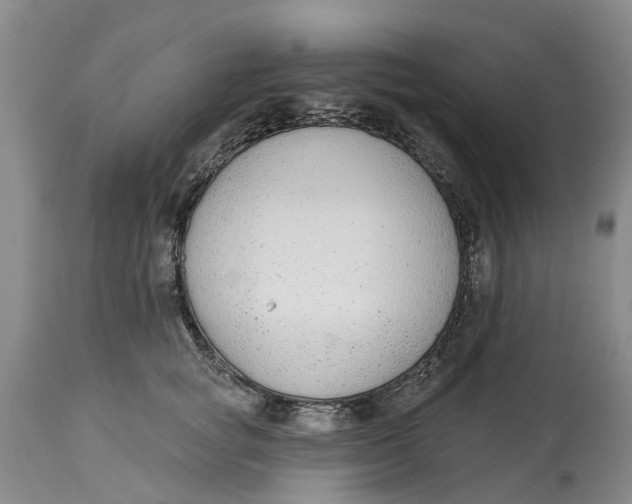 X0000114990757200911161513