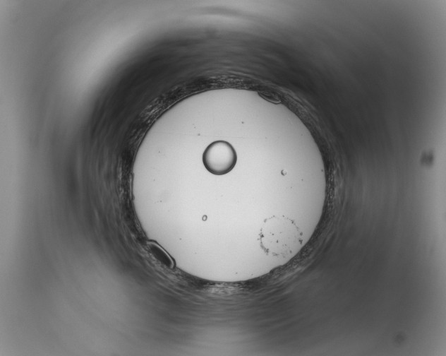 X0000114990762200911161513