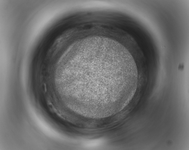 X0000114990765200911161513