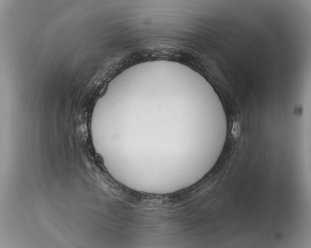 X0000114990771200911161513